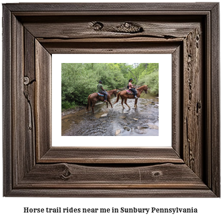 horse trail rides near me in Sunbury, Pennsylvania